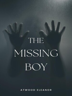cover image of The Missing Boy